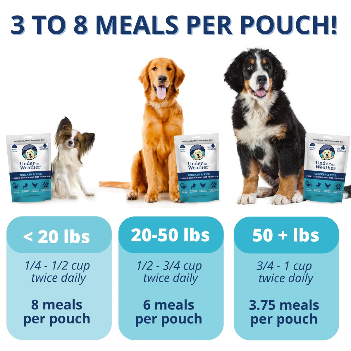 Under the Weather Pet Food in 6 Ounce (Pack of 1)