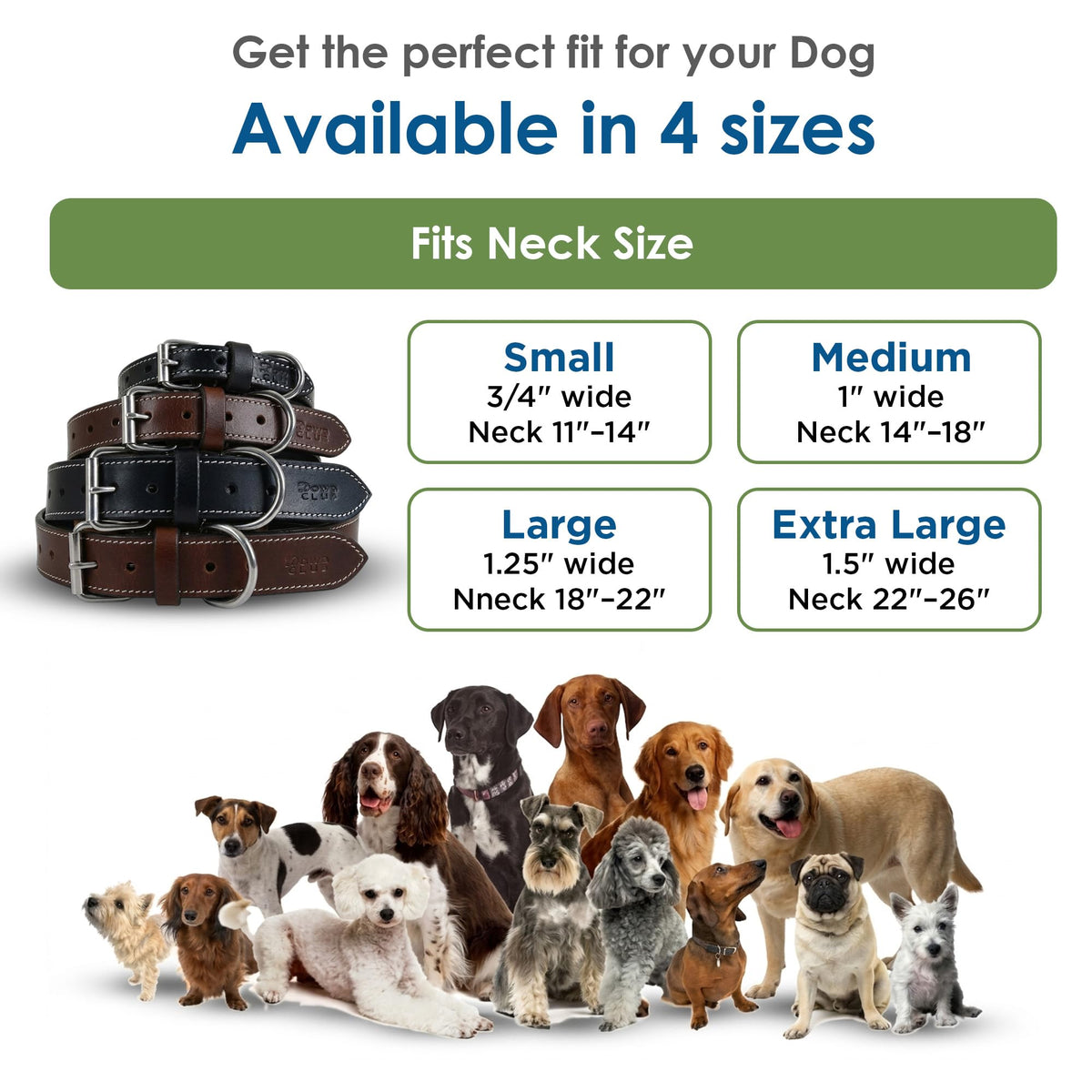 DowgClub Animal Collar in S (11"-14"), Rich Black