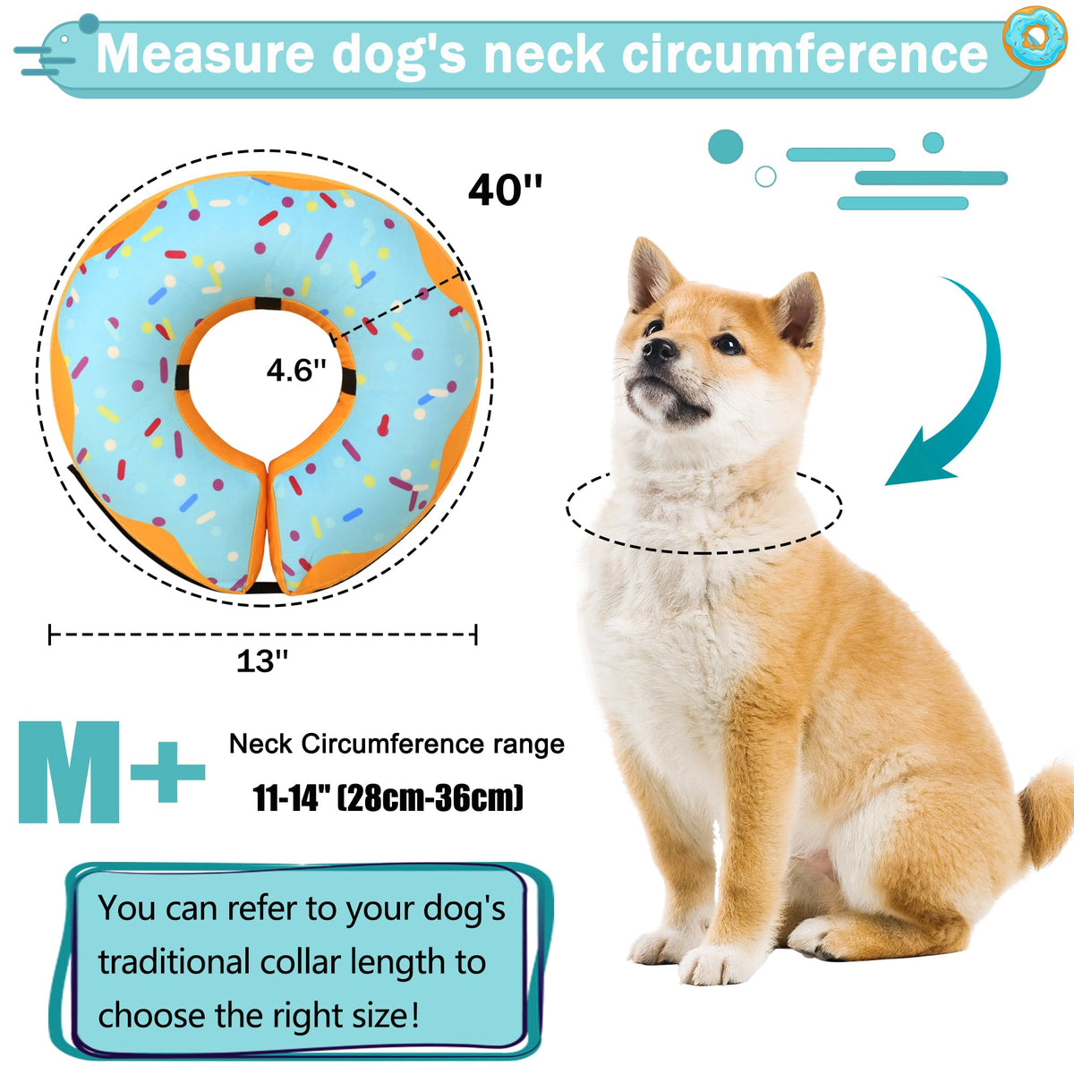 Cneo Animal Recovery Collar Cone in M+（neck 11"-14"）, Blue