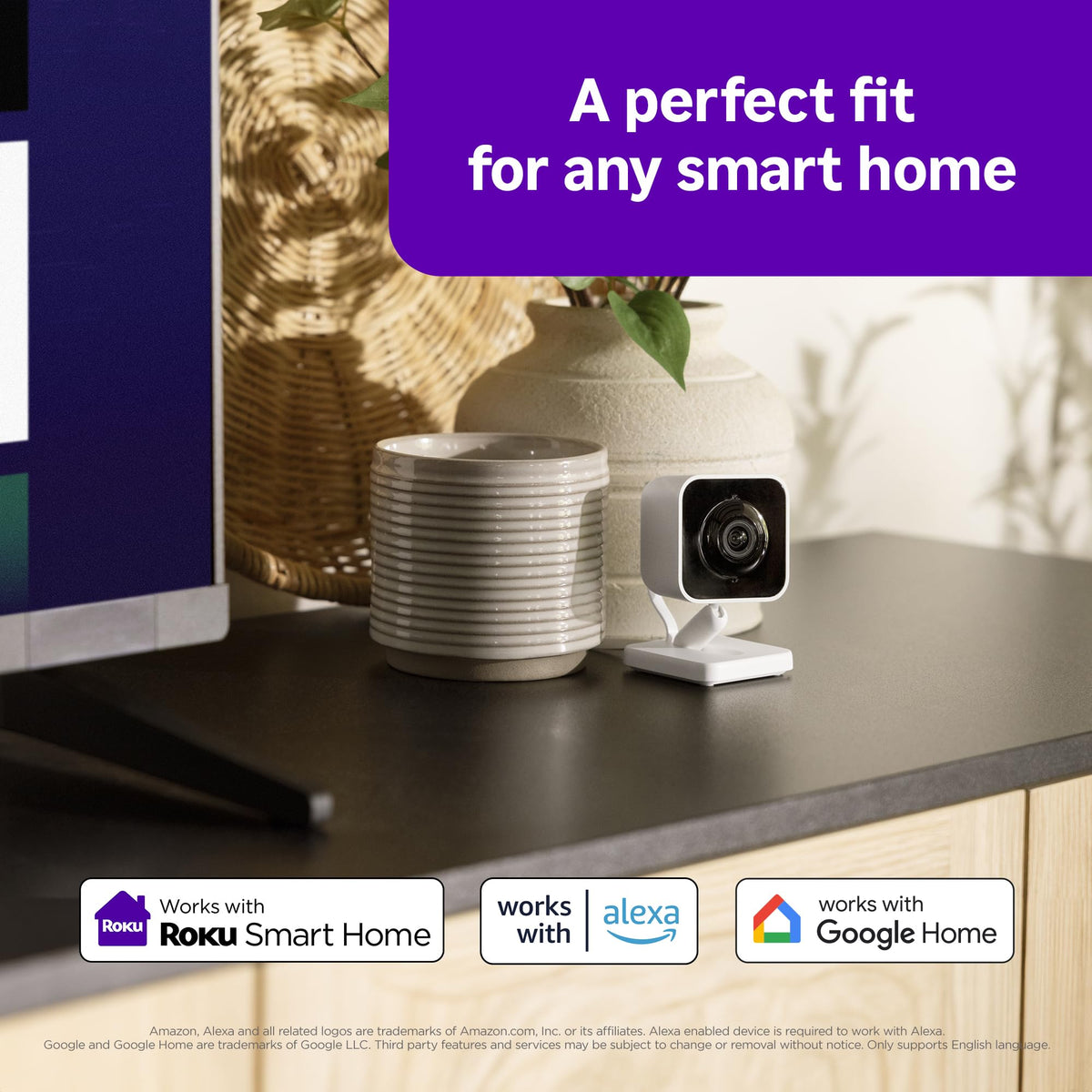 Roku Security Camera in 1 Pack