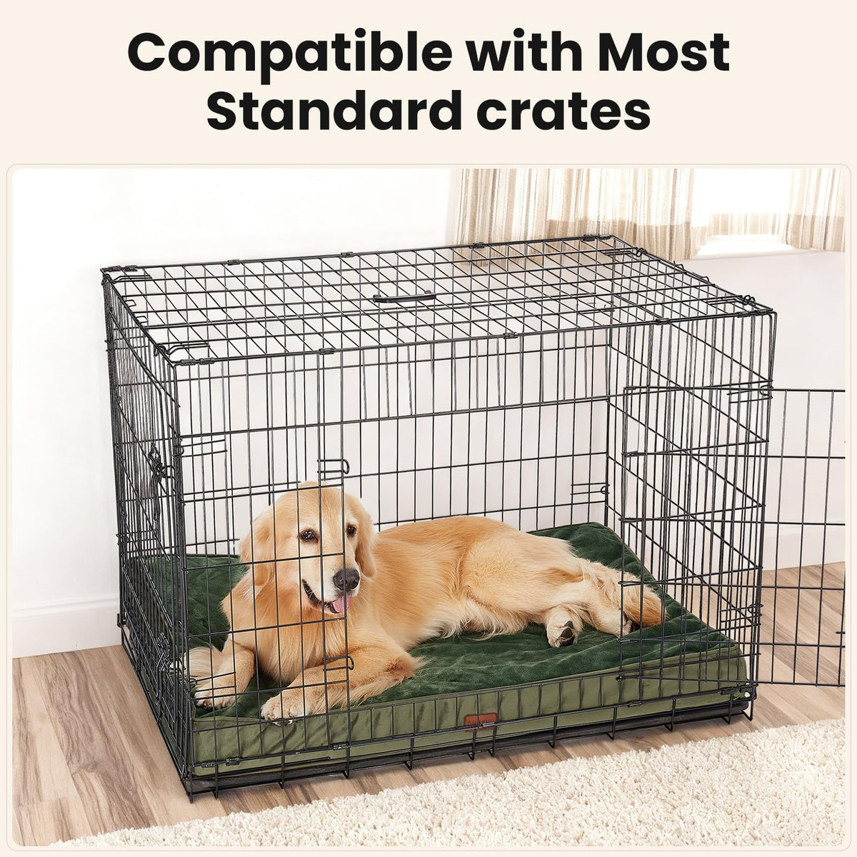 OhGeni Pet Bed Mat in 41" x 28" x 4" (For Crate), 05-Green