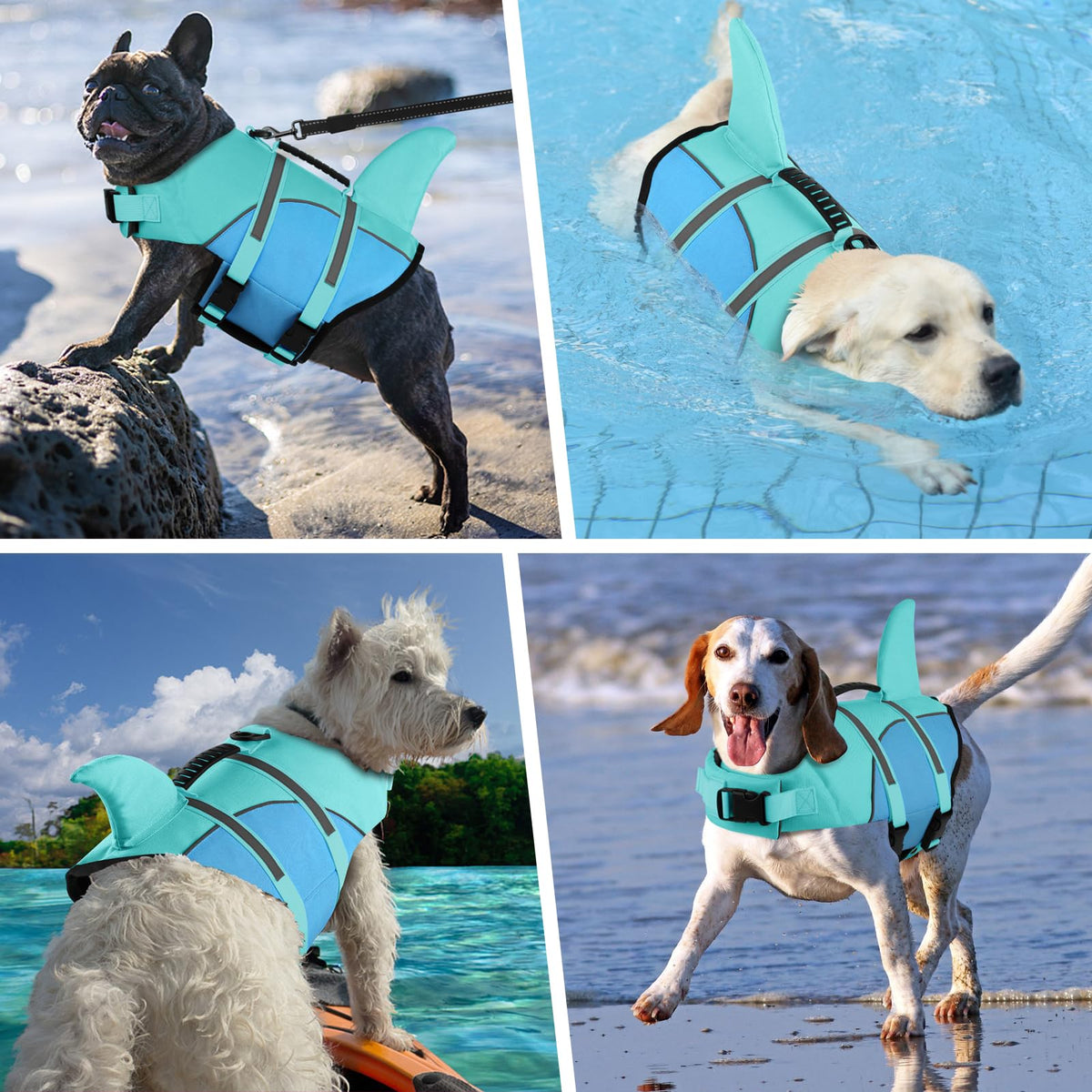 Doglay Pet Apparel in Small, Turquoise & Blue