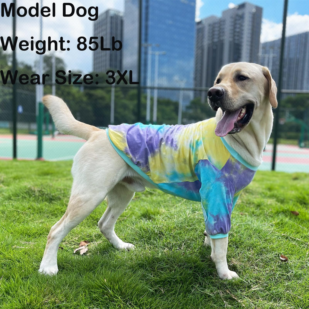 PriPre Pet Apparel in Medium, Blue