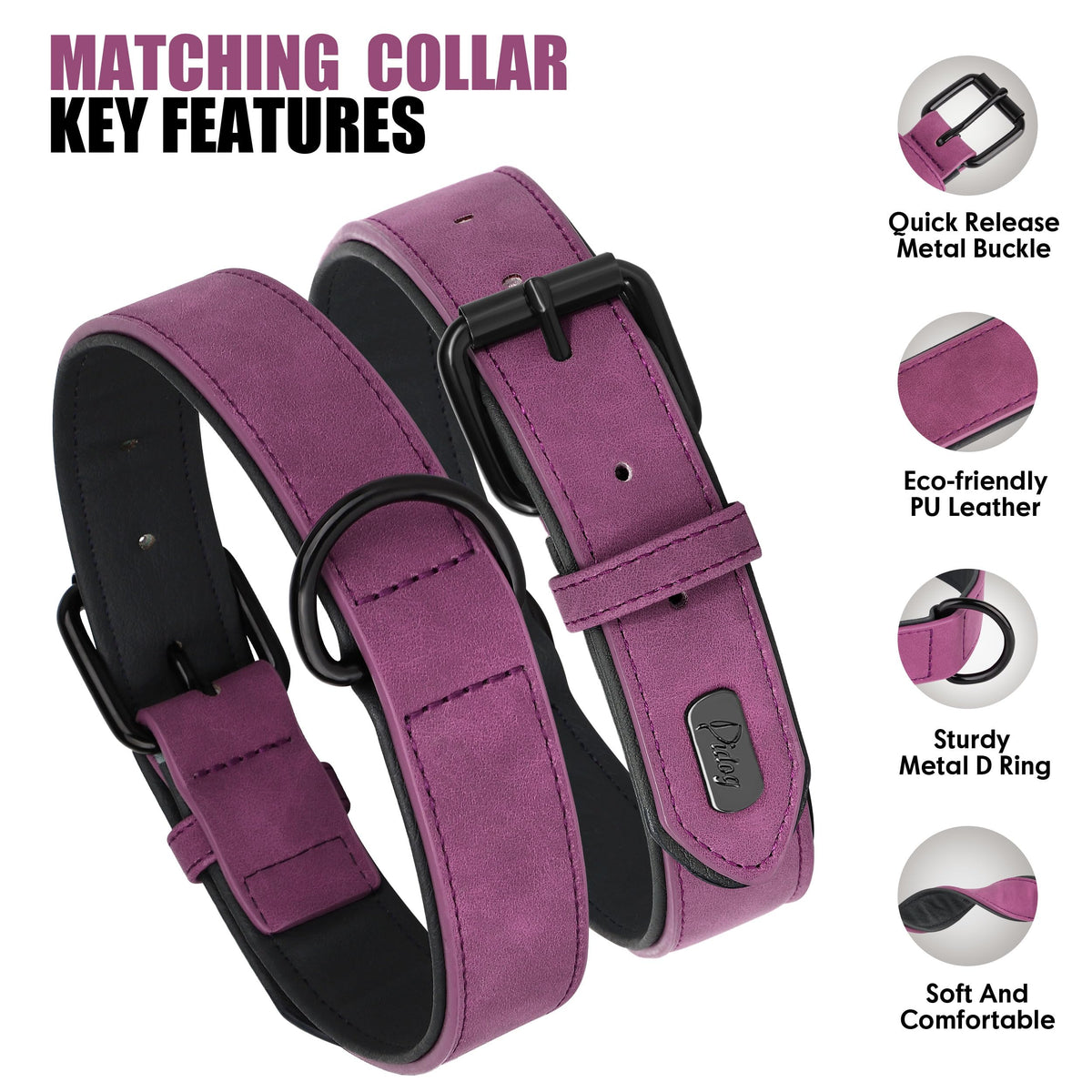 Didog Animal Collar in M: Fit Neck 11-14"(10-20 lbs), Purple Set