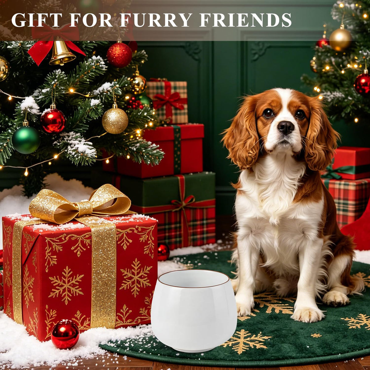 COZFUR Pet Feeder in White