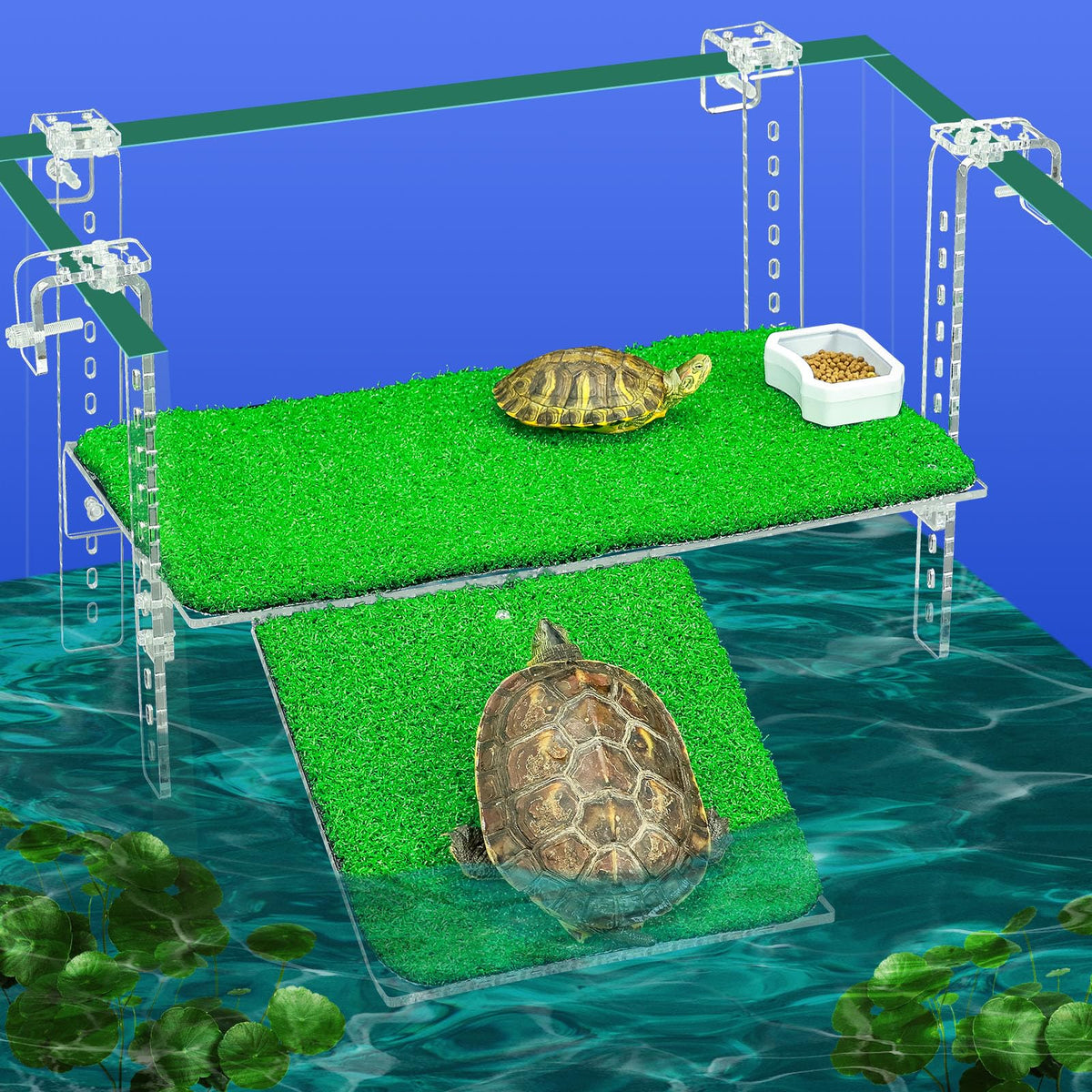 Bluecoco Animal Shelter in 15x8.1 Inch, Transparent