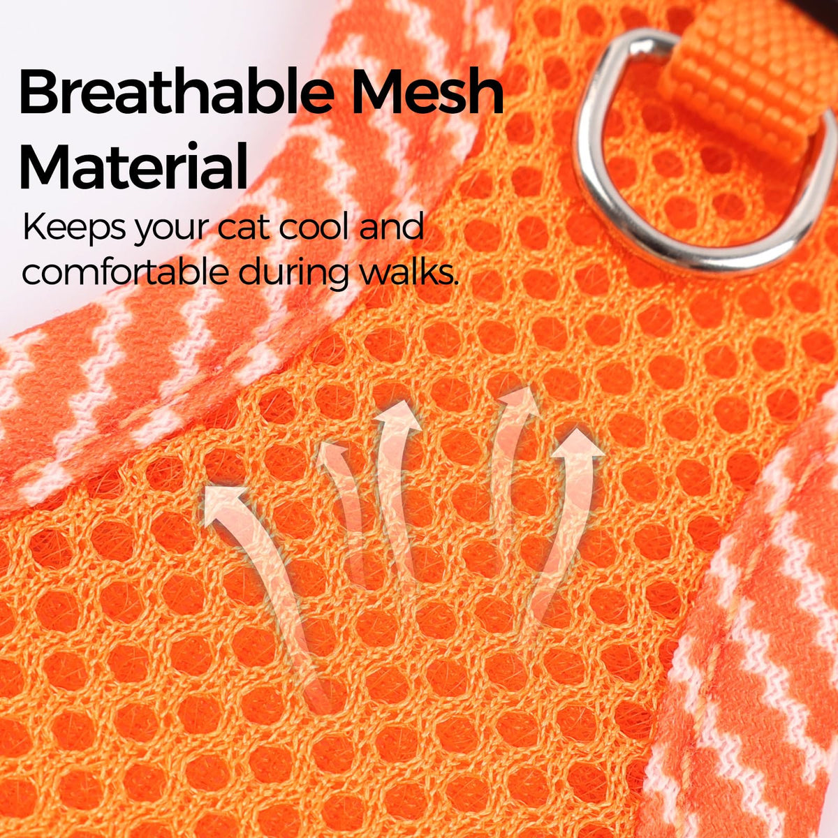 pangdi Pet Supplies in Small, Orange