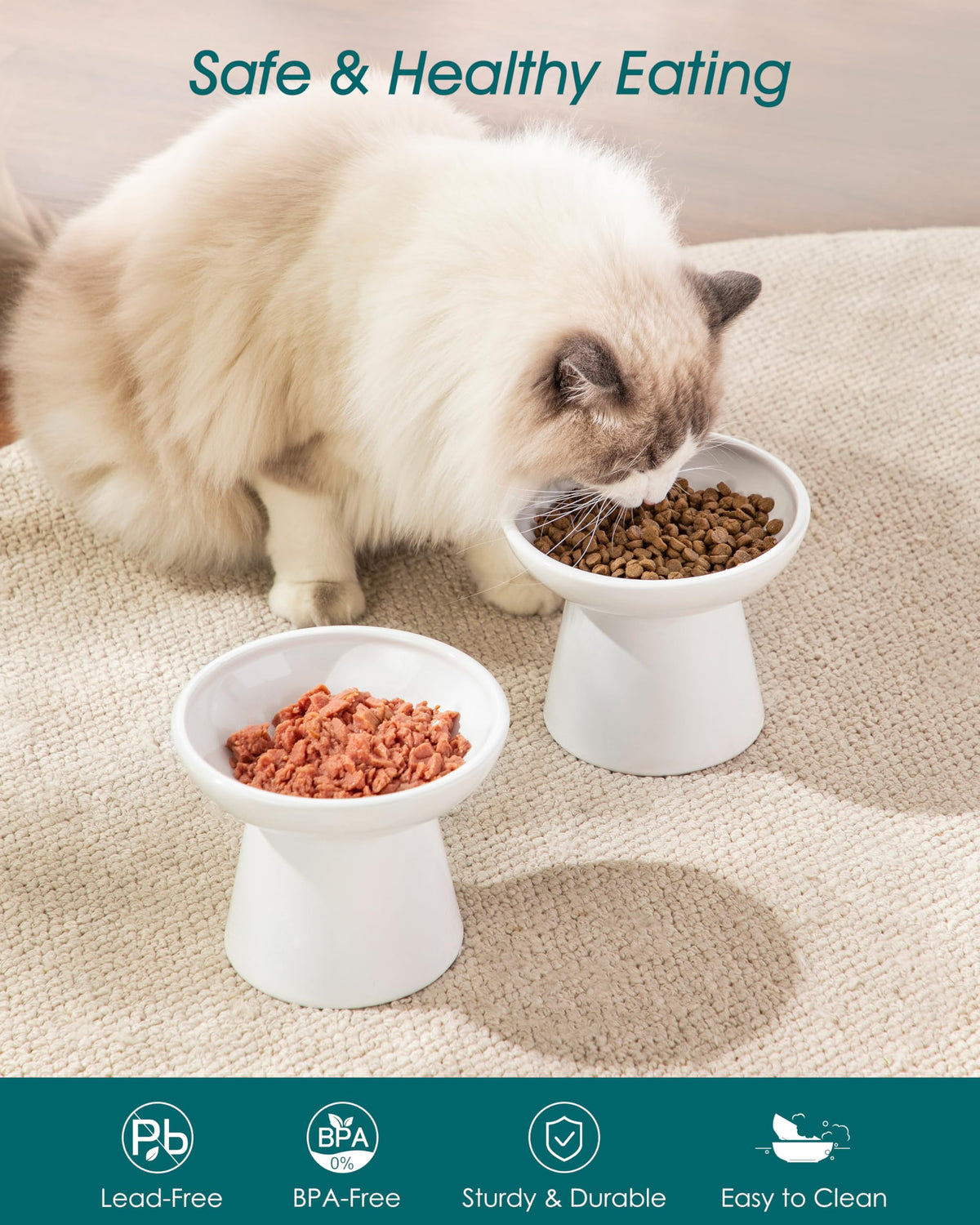 vancasso Pet Feeder in 2 Pack-Food Bowls, White