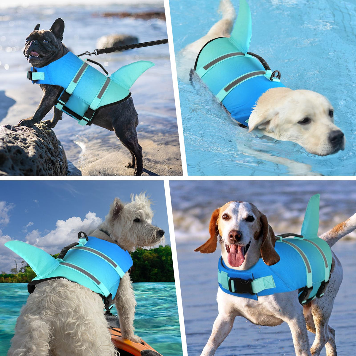 Doglay Pet Apparel in Medium, Gradient Blue