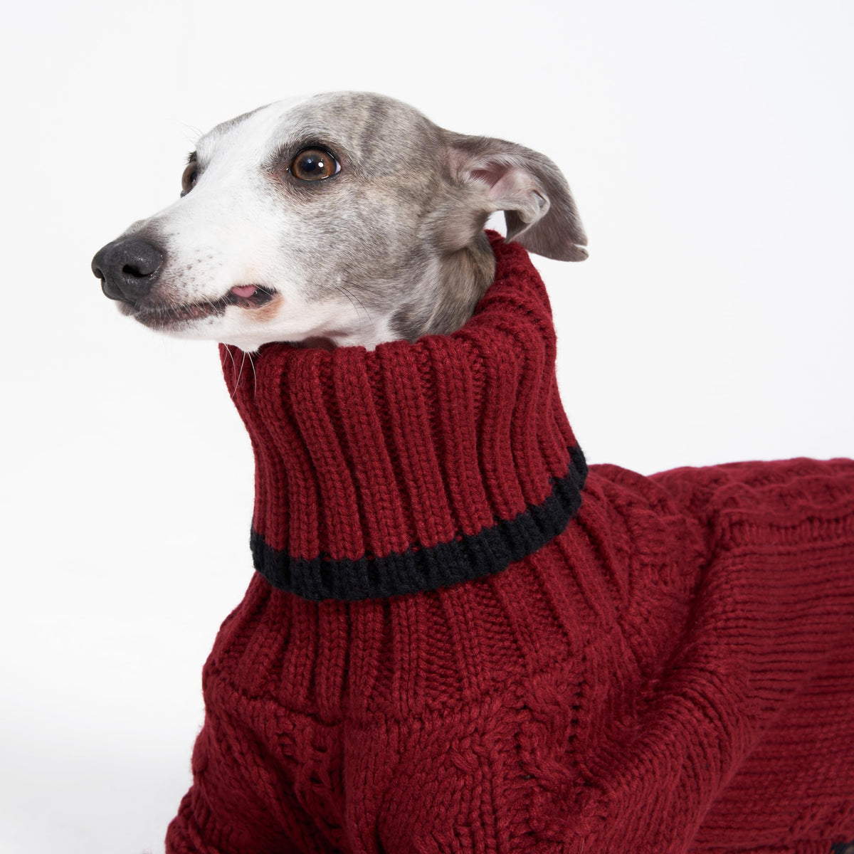 ESCCBOO Pet Apparel in Large, Red