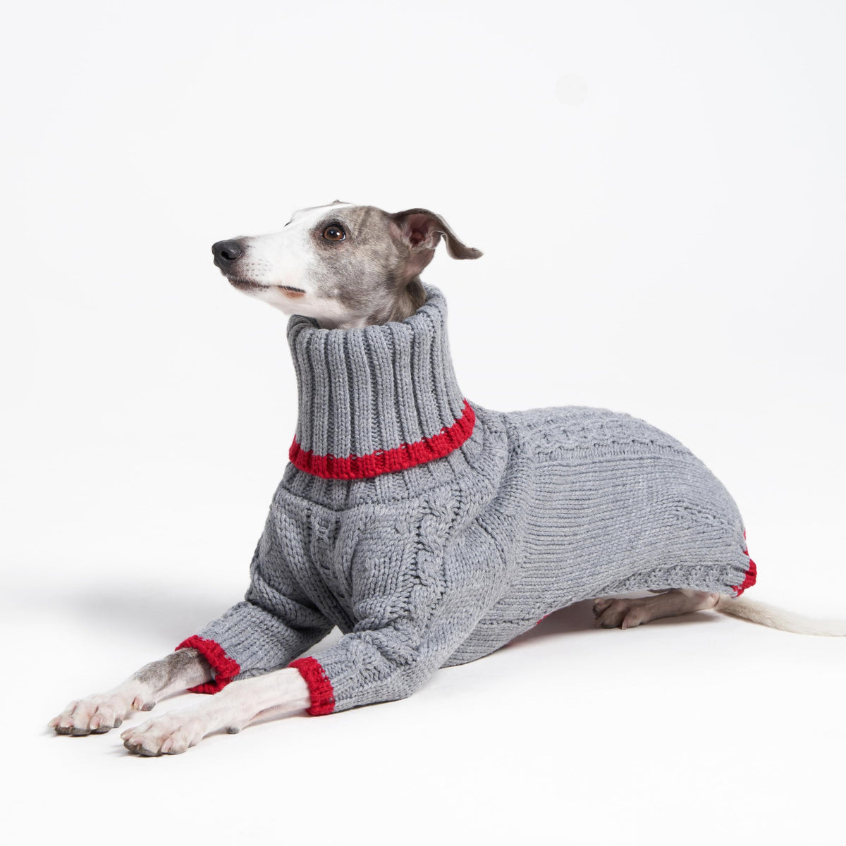 ESCCBOO Pet Apparel in Medium, Grey