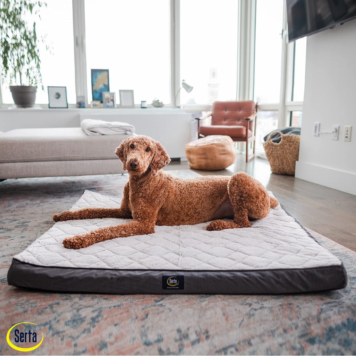 Serta Pet Bed Mat in Large, Slate Gray