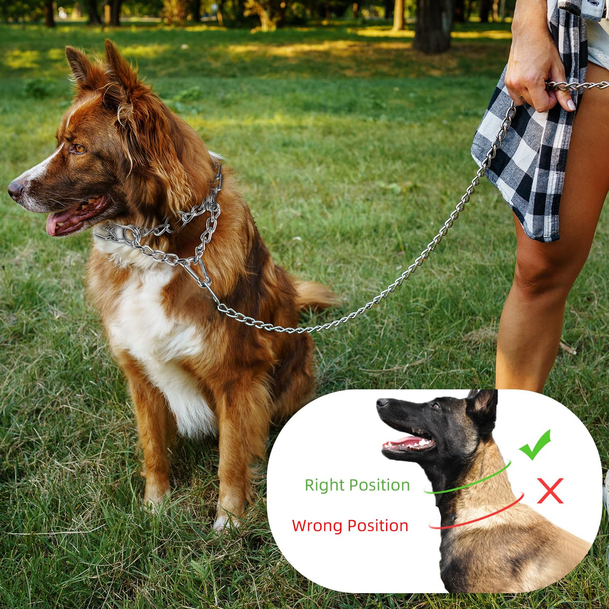 Aheasoun Animal Collar in Large,4.0mm,23.6-Inch, with Buckle