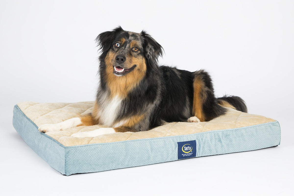 Serta Pet Bed Mat in Large, Blue