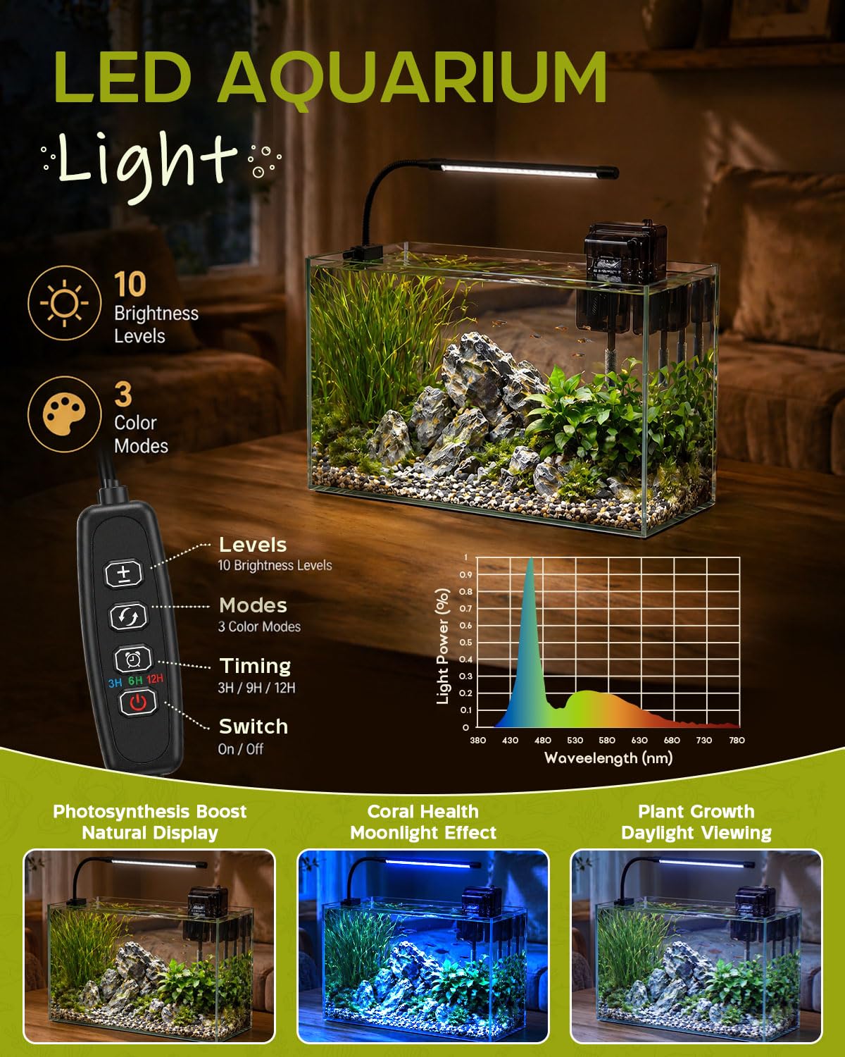 minilake Vivarium in 5 Gallon, Transparent