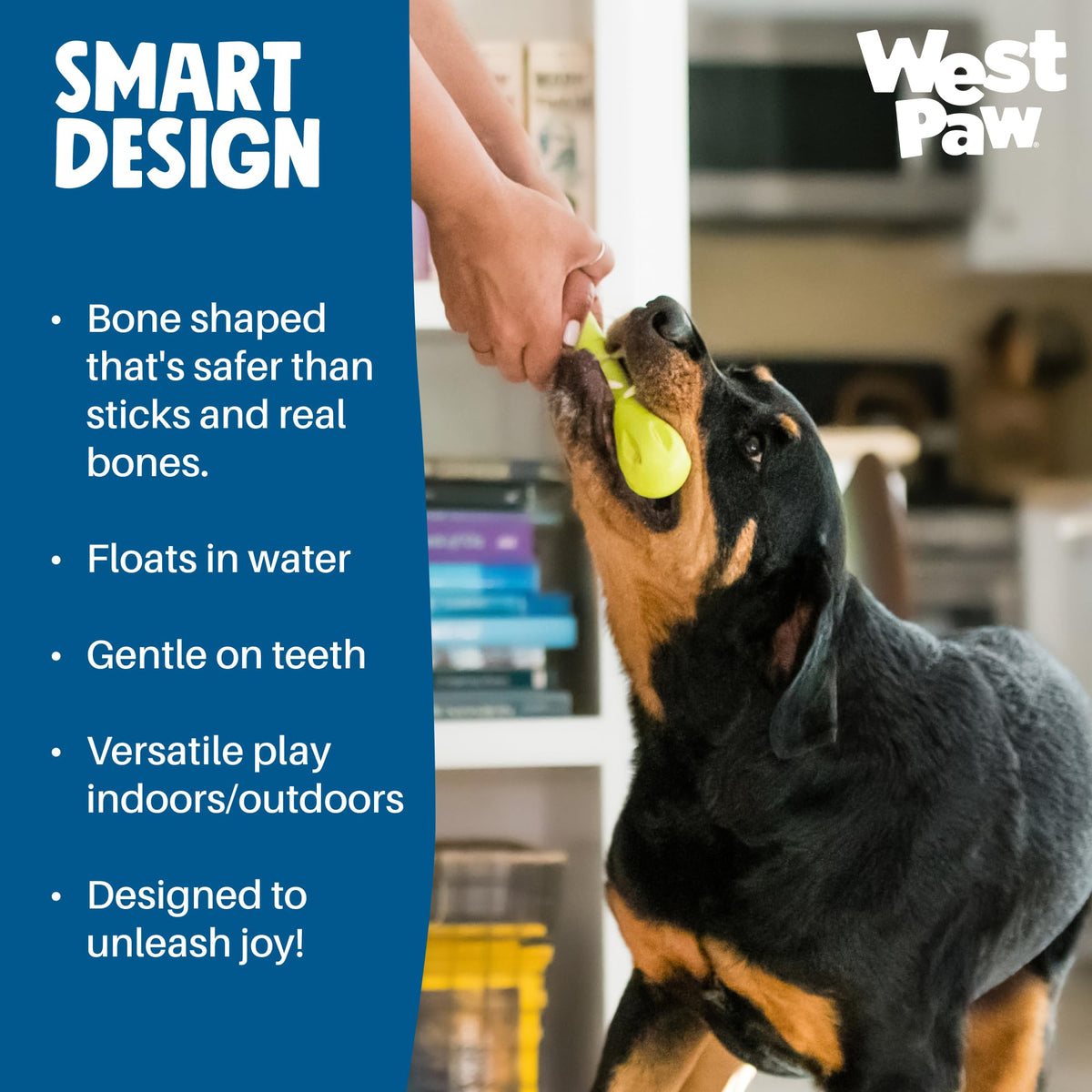 WEST PAW Pet Toy in Large, Aqua