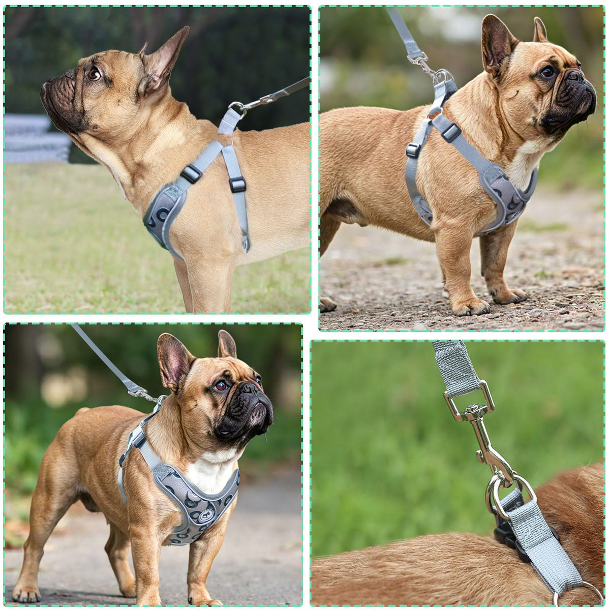SAEGYPET Animal Harness in XS, Gray-2