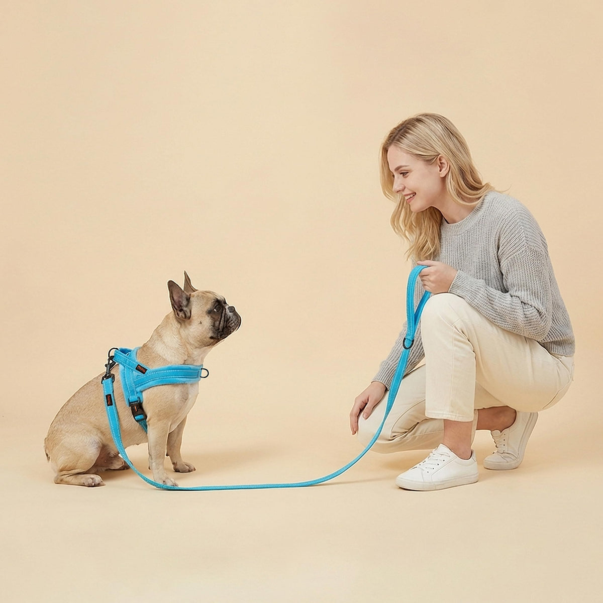 Didog Leash in 5/8''x 6 FT, Blue