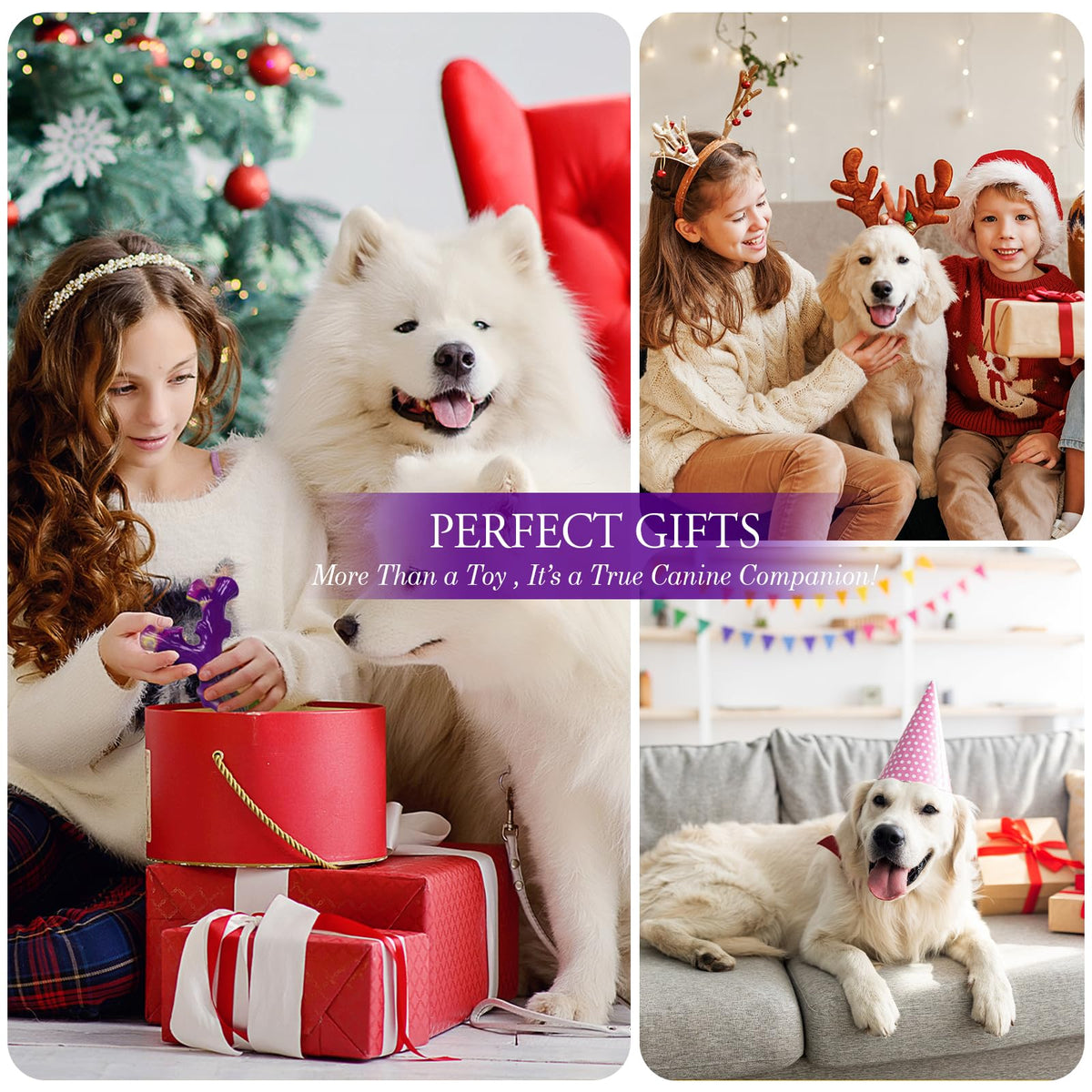 Frienhund Pet Toy in 3 Pack, Purple