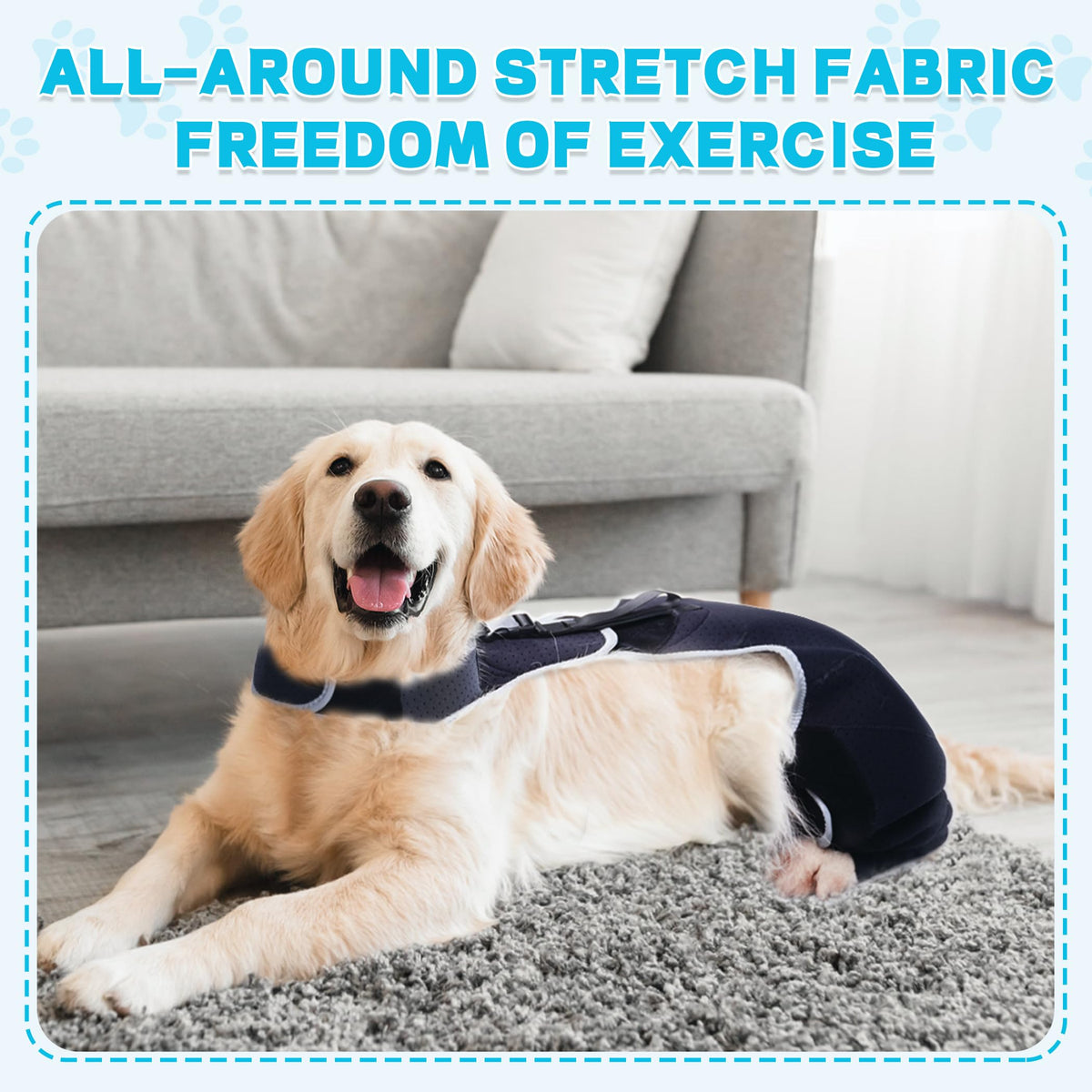 Furtent Pet Apparel in XS, black