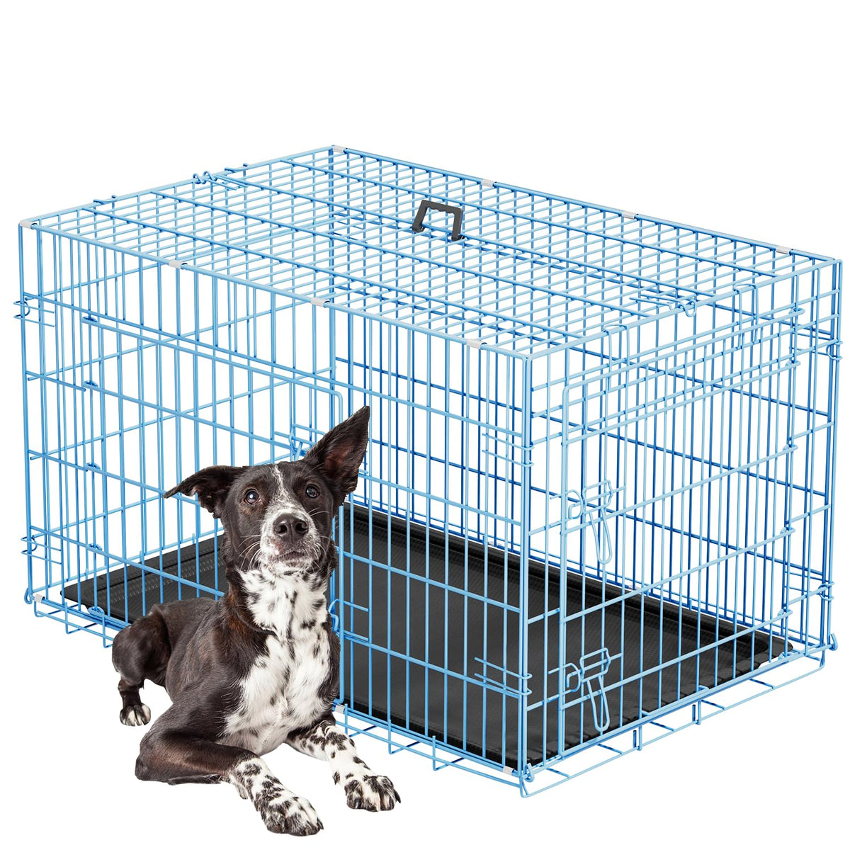 FDW Animal Cage in 42.0"L x 26.0"W x 28.0"H, Blue