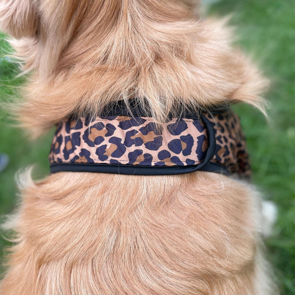Harikaji Pet Supplies in L-Length 9'' Girth<8.2'', Brown Leopard (Pad Upgrade)