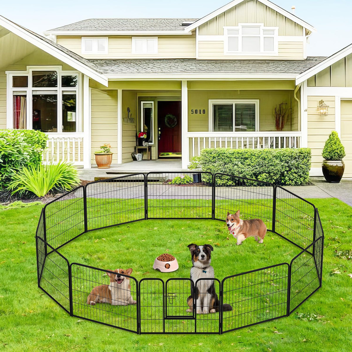 FDW Pet Playpen in Black