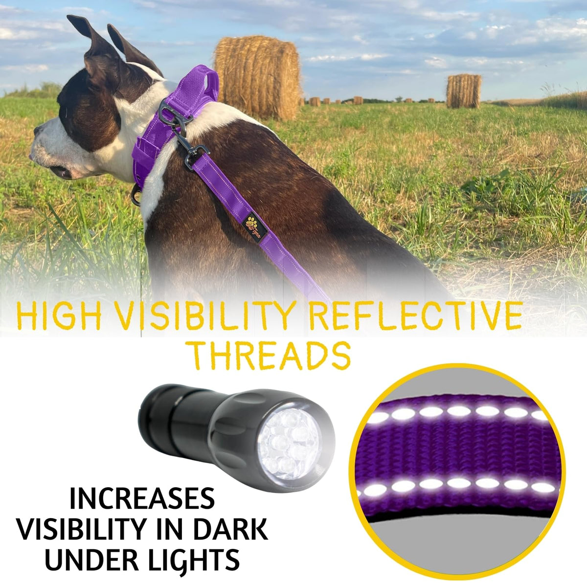 ADITYNA Leash in 6ft - 7.5ft, Purple