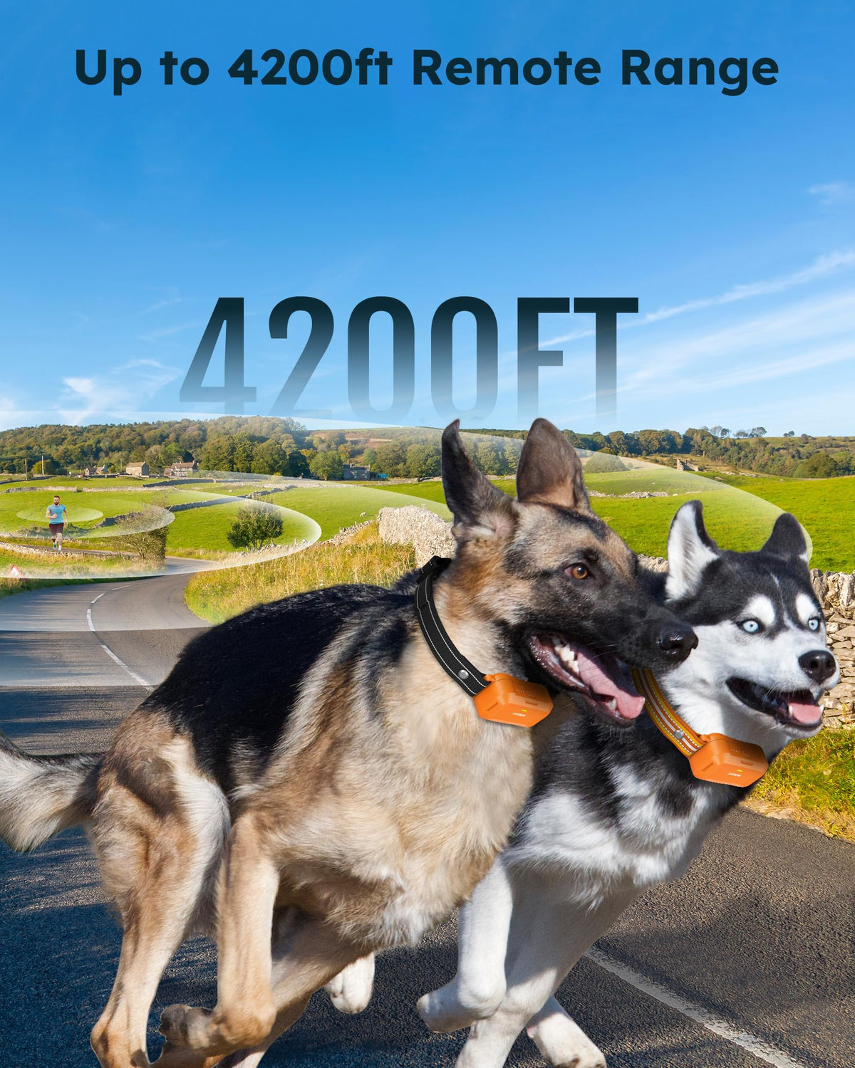 Jugbow Animal Collar in 2 Count (Pack of 1), Orange 2 pack