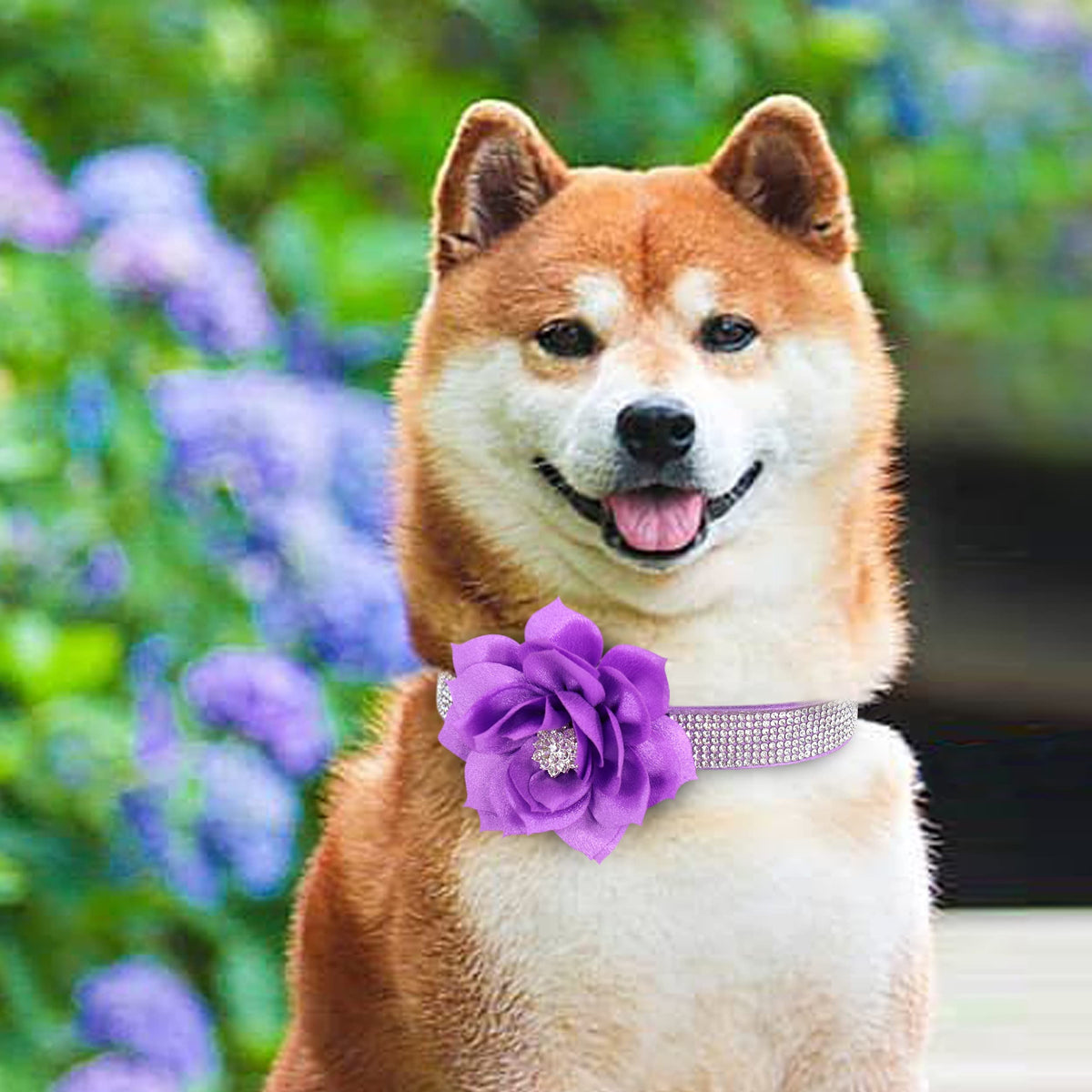 PET ARTIST Animal Collar in XS:Neck 7.5-10"(3-7 lbs), Purple