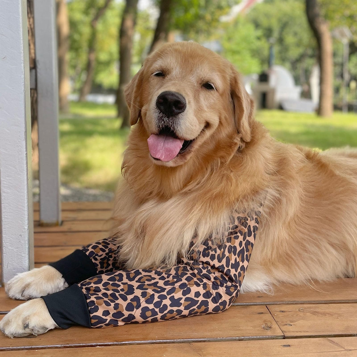 Harikaji Pet Supplies in L-Length 9'' Girth<8.2'', Brown Leopard (Pad Upgrade)