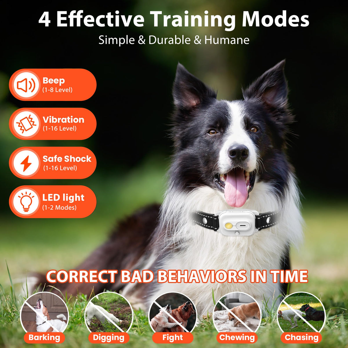 Wissilor Animal Collar in One Size, White - 1 Collar