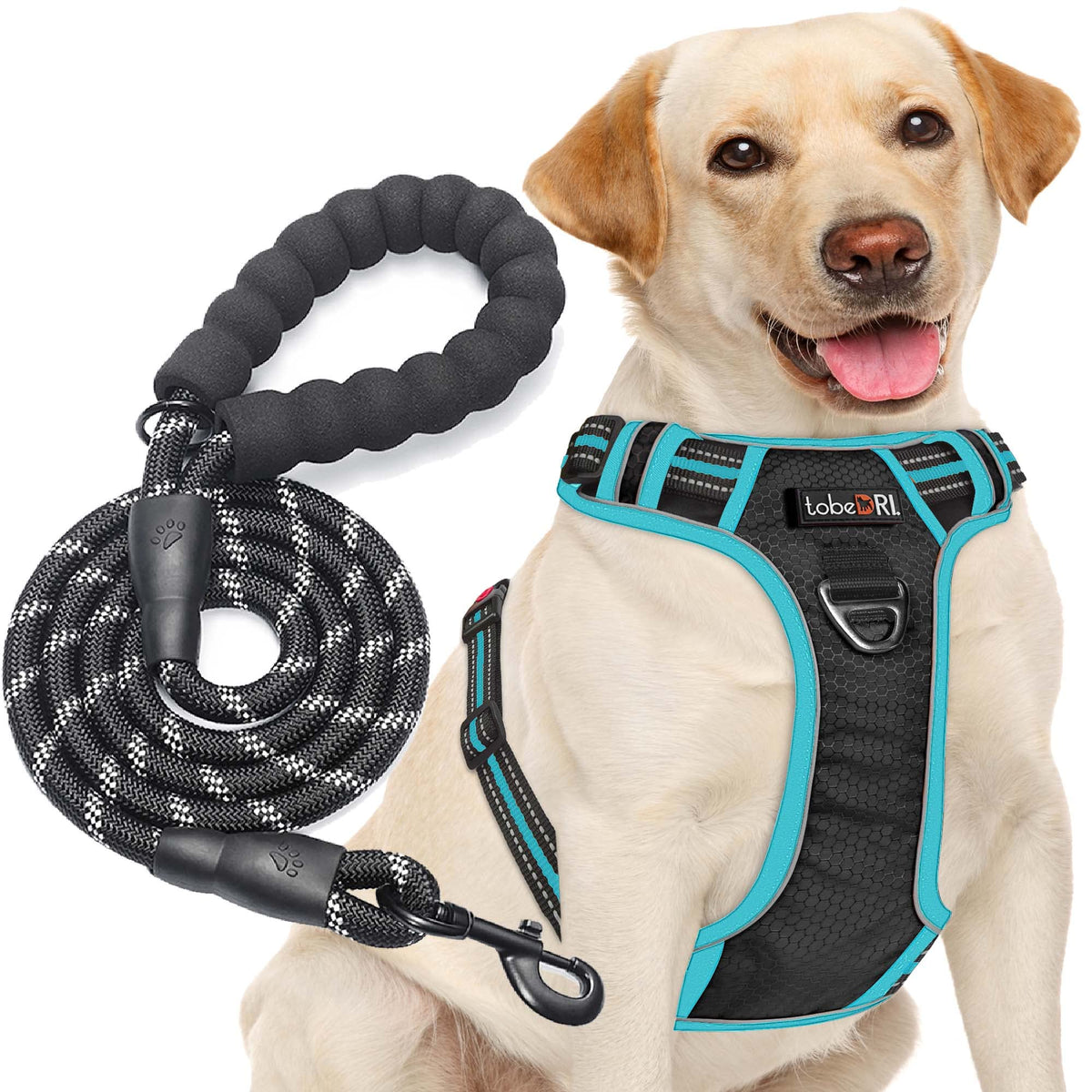 tobeDRI Animal Harness in Medium, Black/Blue