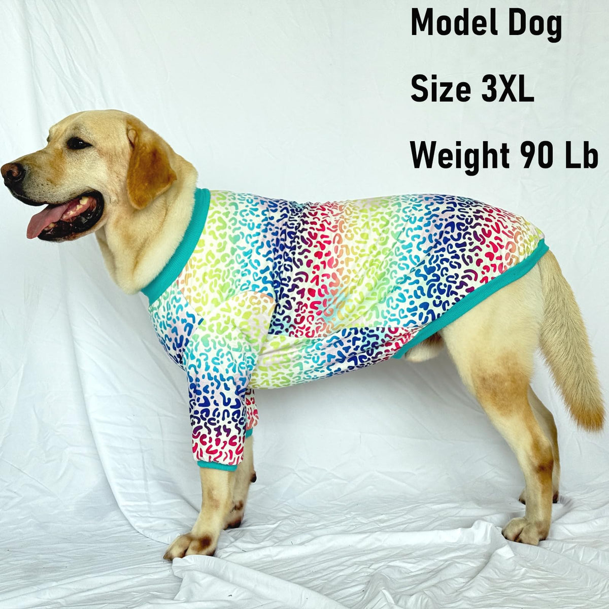 PriPre Pet Apparel in Medium, Leopard