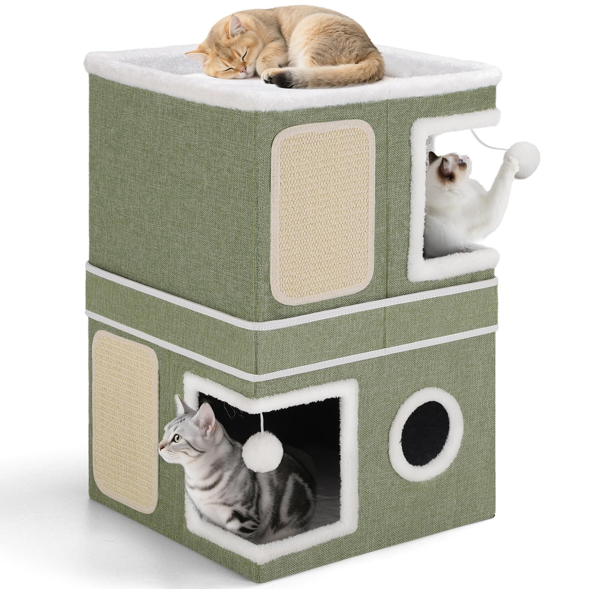 Shikha Animal Shelter in Double, Green