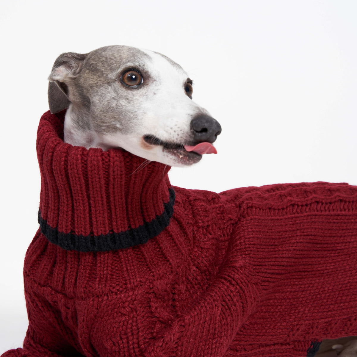ESCCBOO Pet Apparel in Large, Red