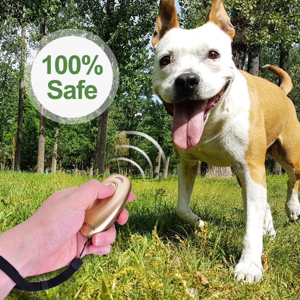 MODUS Pet Supplies in Gold Barks No More Dog Training Tool