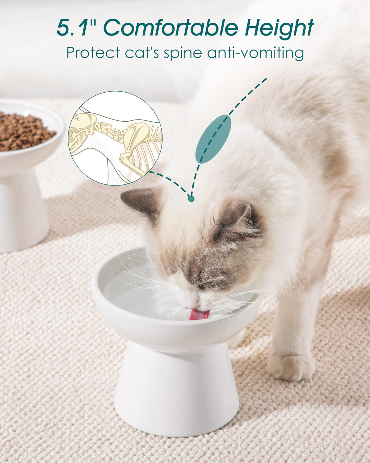 vancasso Pet Feeder in 2 Pack-Food & Water Bowls, White