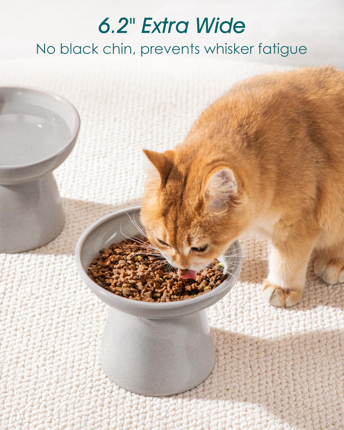 vancasso Pet Feeder in 2 Pack-Food & Water Bowls, Grey