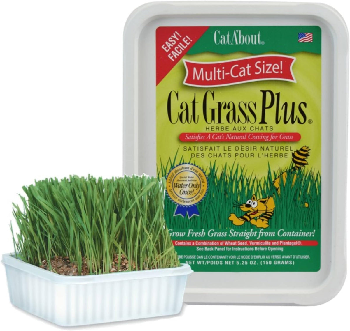 Miracle Care Plant Seed in 5.25 Ounce (Pack of 12), ירוק