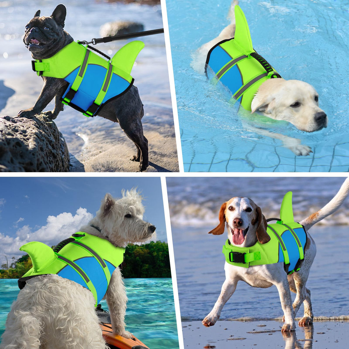 Doglay Pet Apparel in X-small, Fluorescent Green & Blue