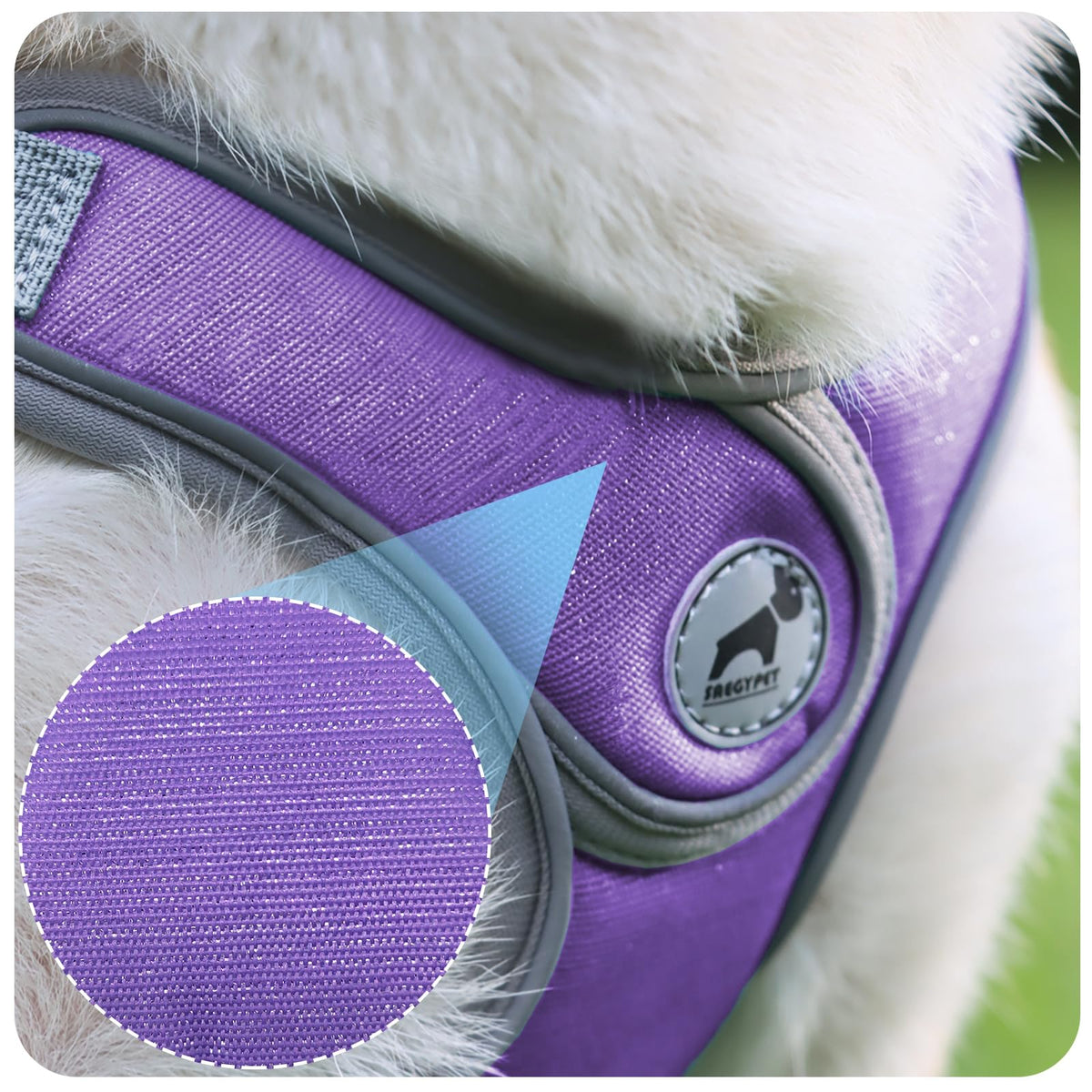 SAEGYPET Animal Harness in XS, Purple