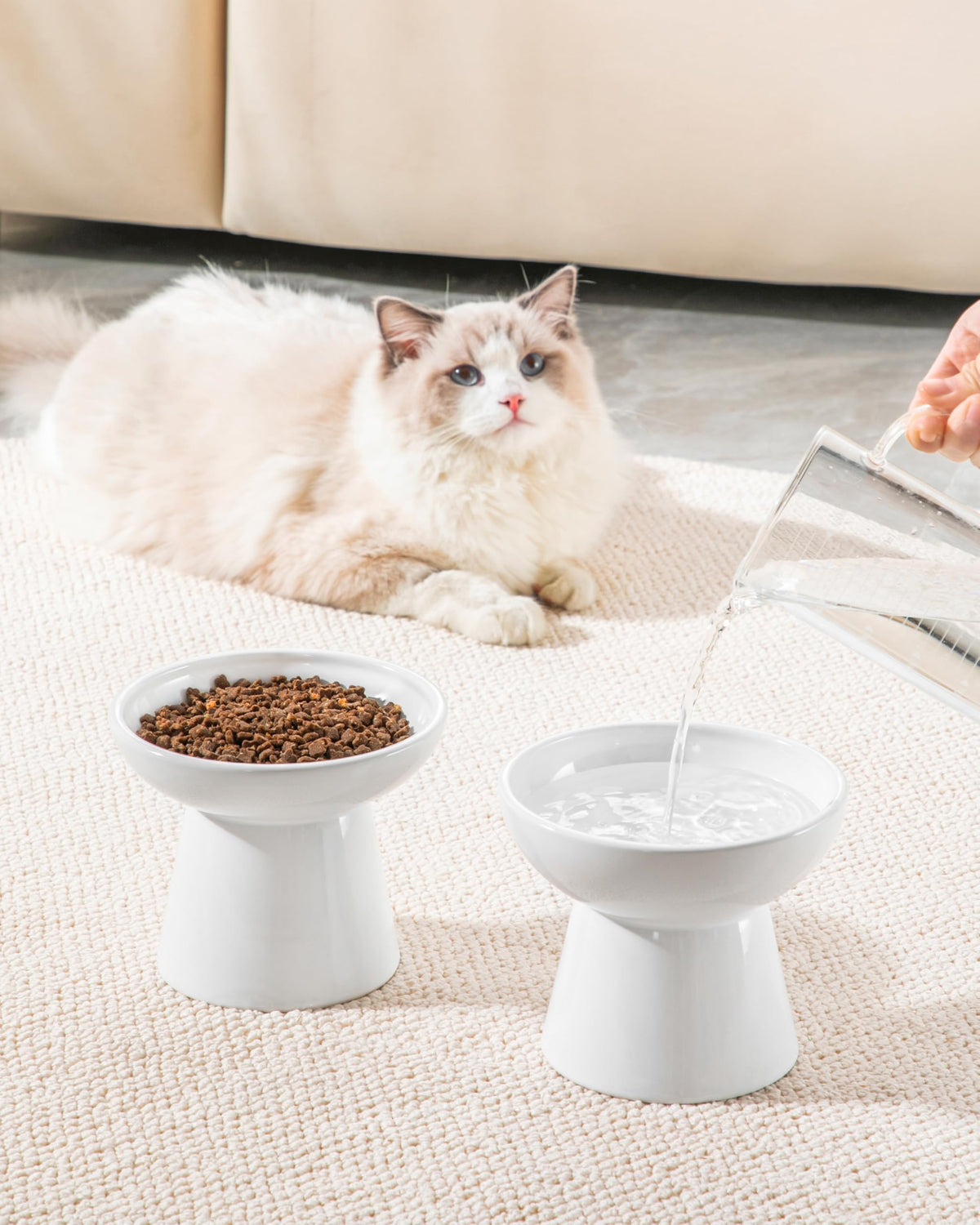 vancasso Pet Feeder in 2 Pack-Food & Water Bowls, White