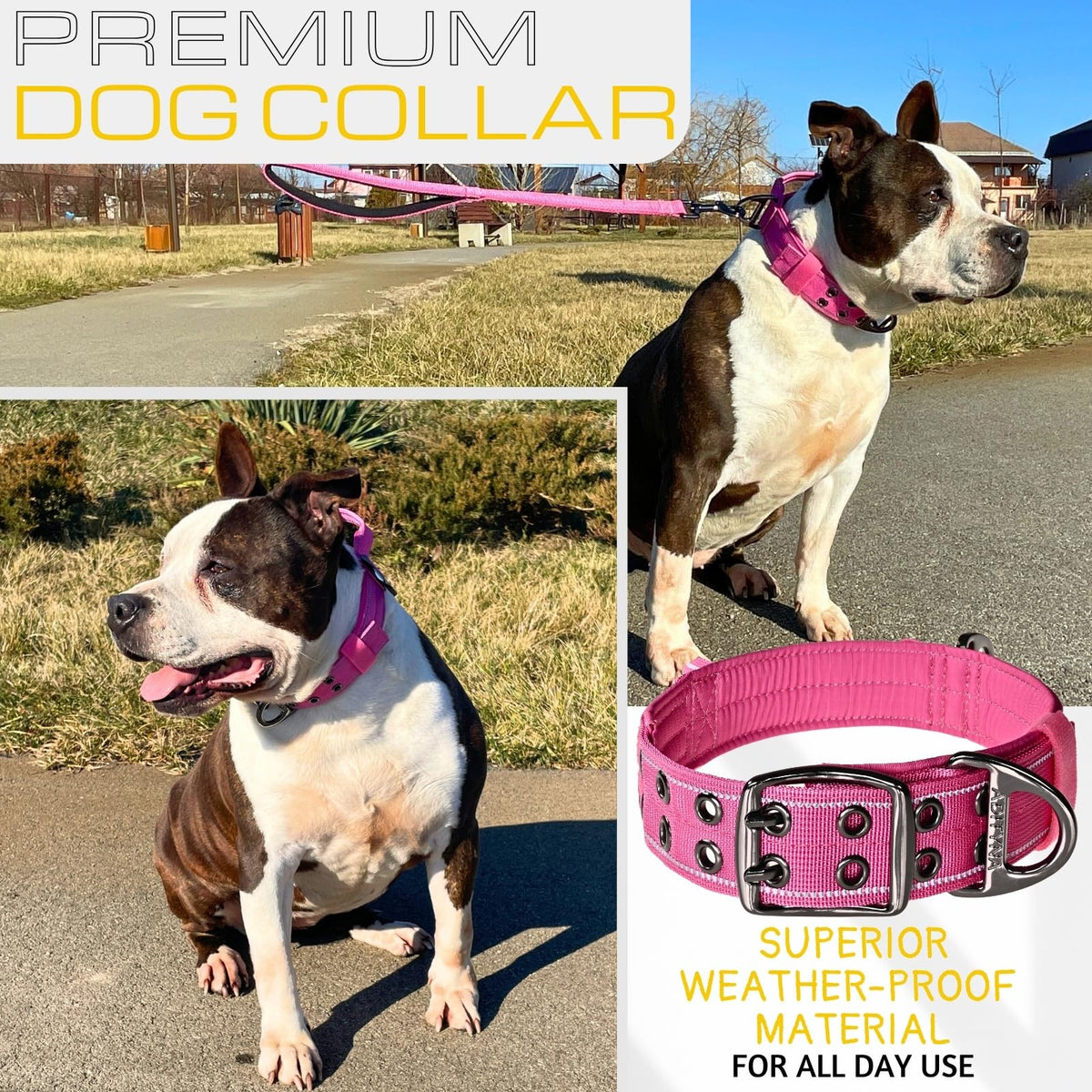 ADITYNA Animal Collar in Medium: Fit 15-19" Neck, Pink