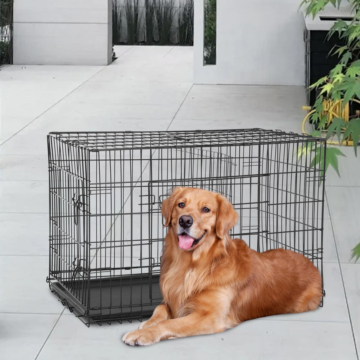 FDW Animal Cage in 48 Inch, Black
