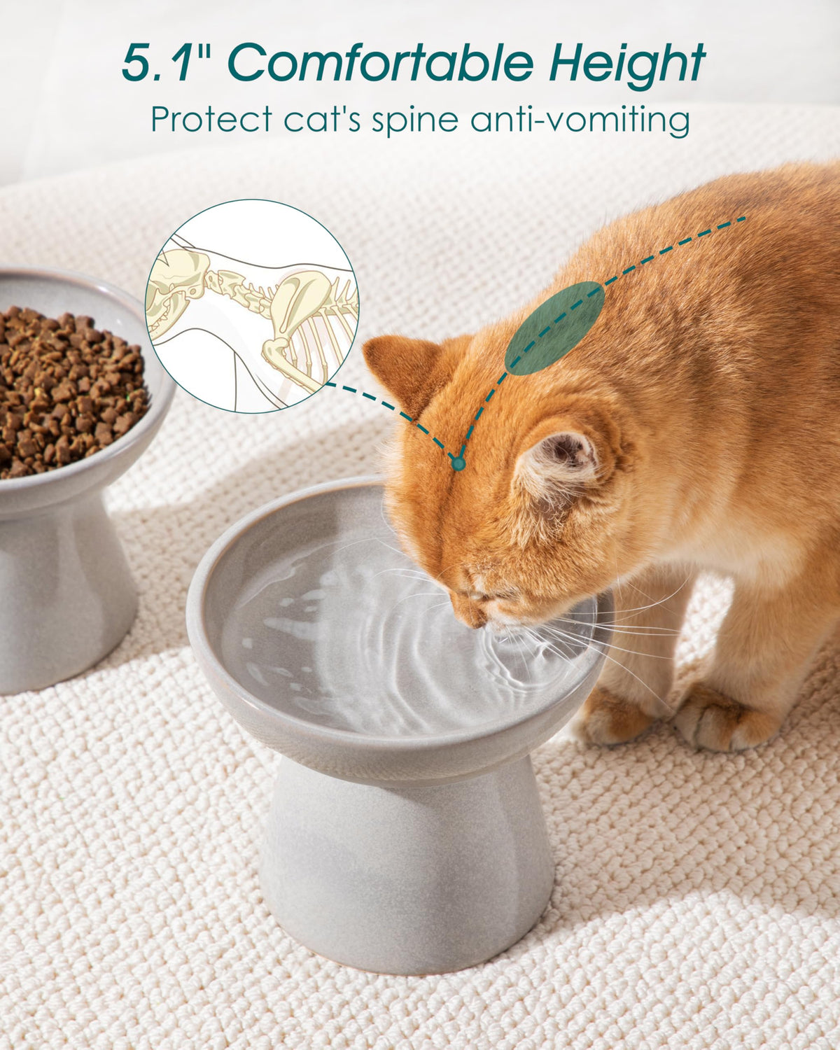 vancasso Pet Feeder in 2 Pack-Food & Water Bowls, Grey