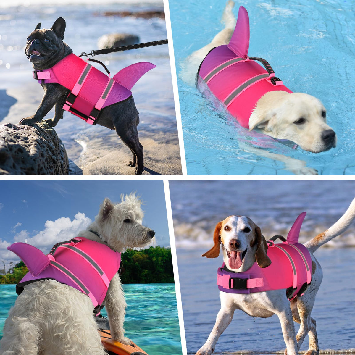Doglay Pet Apparel in X-large, Gradient Pink Purple