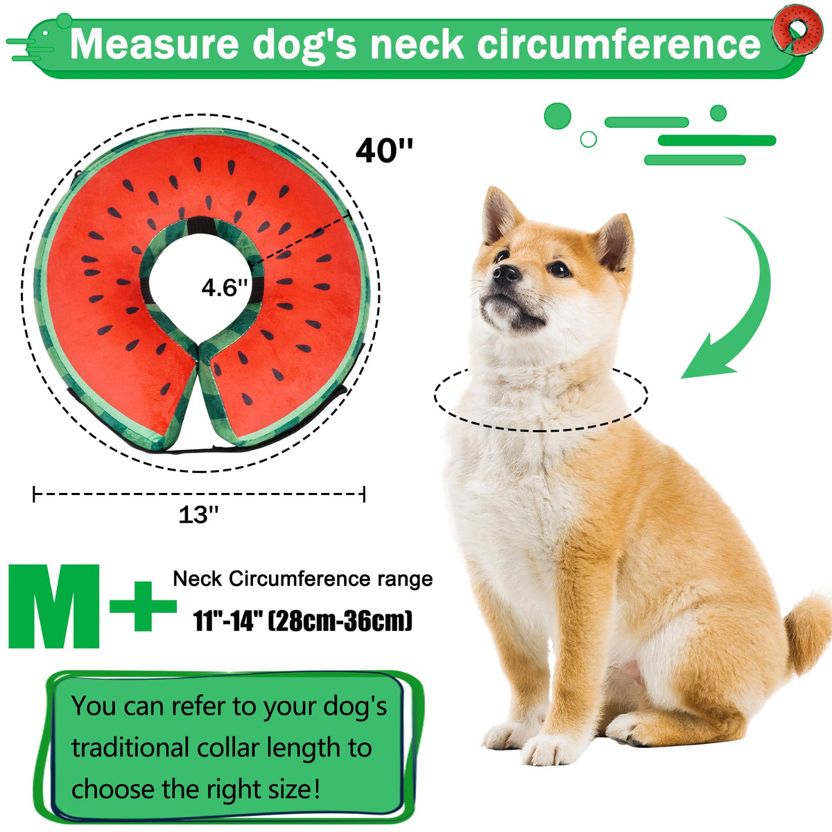 Cneo Animal Recovery Collar Cone in M+（neck 11"-14"）, Watermelon