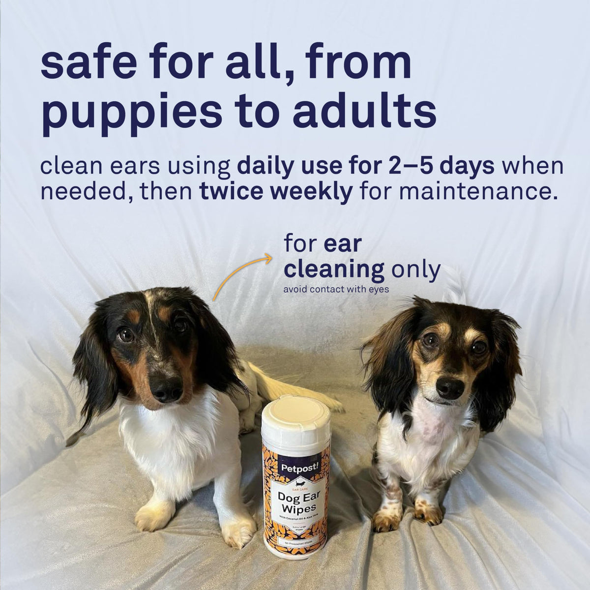 Petpost Pet Supplies in Large, Ear