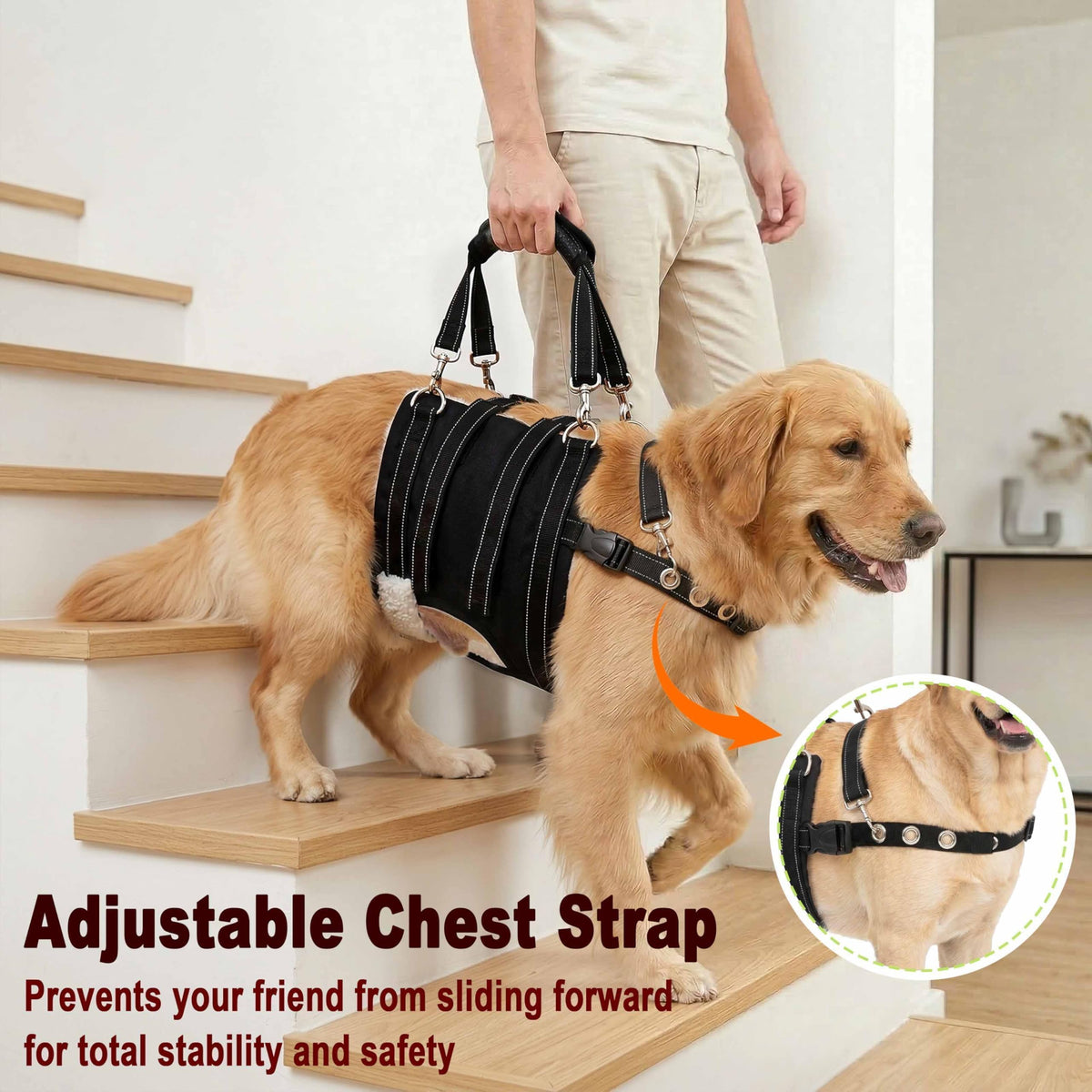 CWV Animal Harness in Large, Black